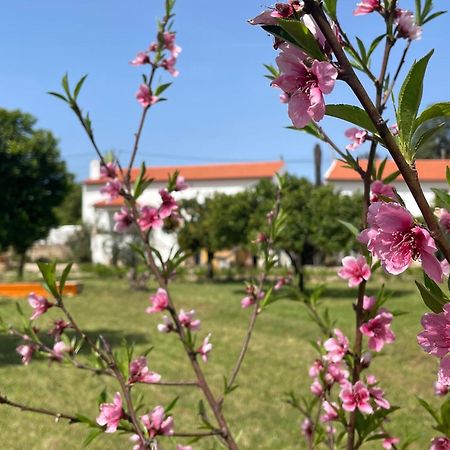 Casa Do Prado Otel Tomar Dış mekan fotoğraf