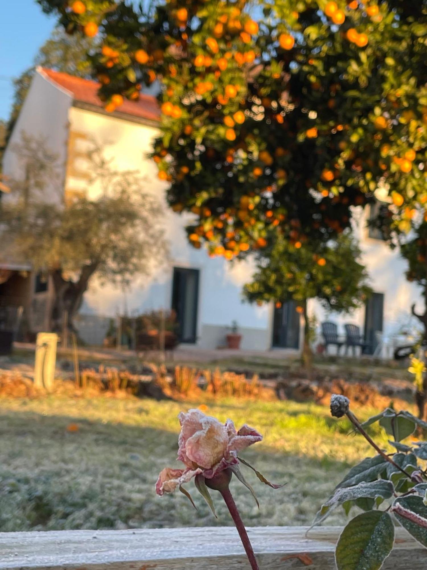 Casa Do Prado Otel Tomar Dış mekan fotoğraf